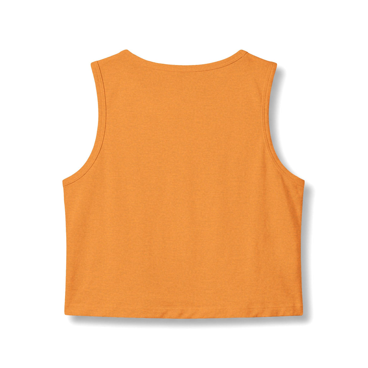 Scottsdale: 100° & Still Snowing - Vintage Desert Crop Tank